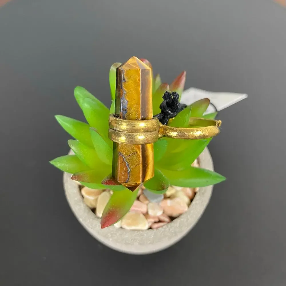 From St Xavier Luca Tigers Eye Point Pendant Ring NWT
